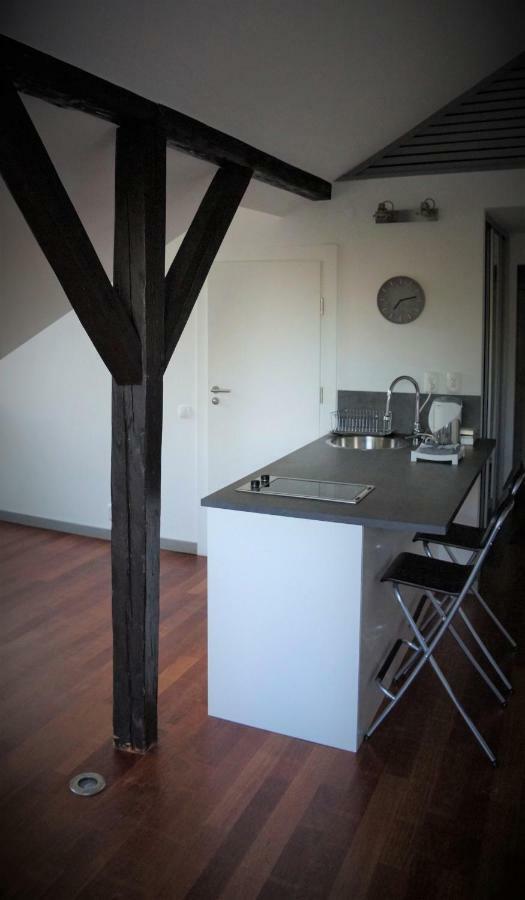 Appartement Feliciana In The Heart Of Old Town With Wawel'S View à Cracovie Extérieur photo